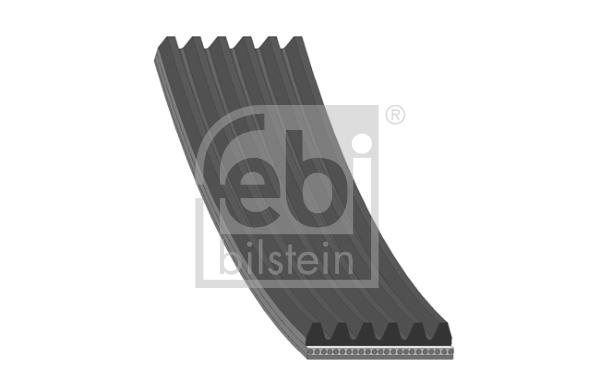 Pasek wielorowkowy 176704  FEBI BILSTEIN