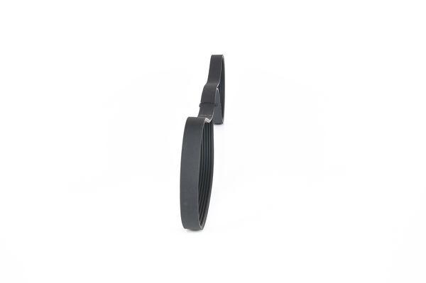 Pasek wielorowkowy 1 987 946 062  BOSCH